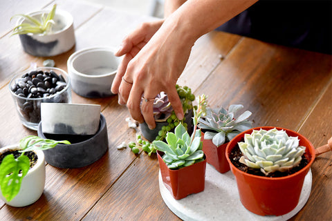 The Crafters Box - CONCRETE POT WORKSHOP & TUTORIAL The Crafters Box - CONCRETE POT WORKSHOP & TUTORIAL