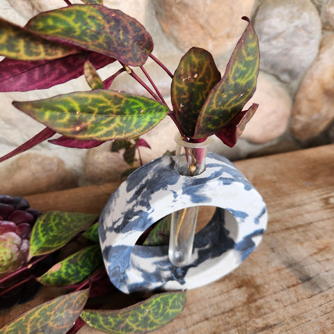 Oval Propagation Station - Dark Marble Oval Propagation Station - Dark Marble