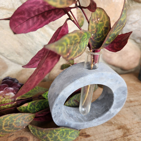 Oval Propagation Station - Medium Greys Oval Propagation Station - Medium Greys