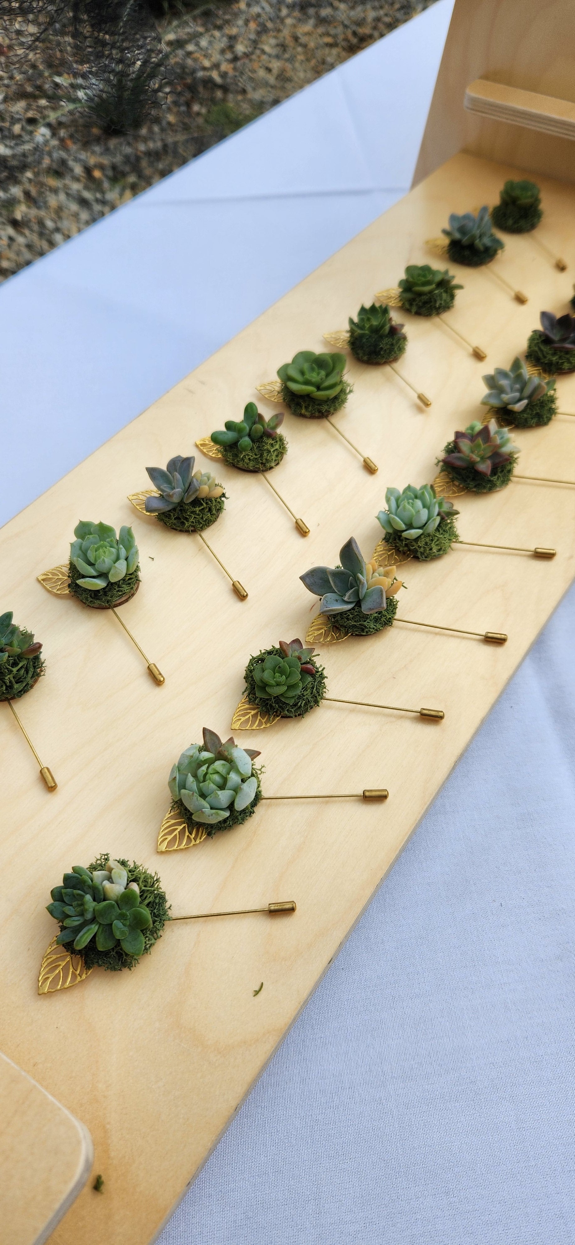 Succulent Stick Pins Succulent Stick Pins