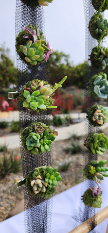 Succulent Hair Clips Succulent Hair Clips