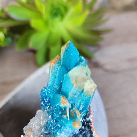 (#313) Turquoise & Gold Crystal Geode - Sm Shallow Bowl (#313) Turquoise & Gold Crystal Geode - Sm Shallow Bowl
