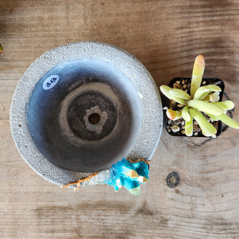 (#313) Turquoise & Gold Crystal Geode - Sm Shallow Bowl (#313) Turquoise & Gold Crystal Geode - Sm Shallow Bowl