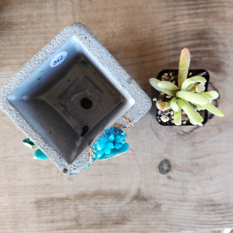 (#312) Turquoise Crystal Geode - Square (#312) Turquoise Crystal Geode - Square