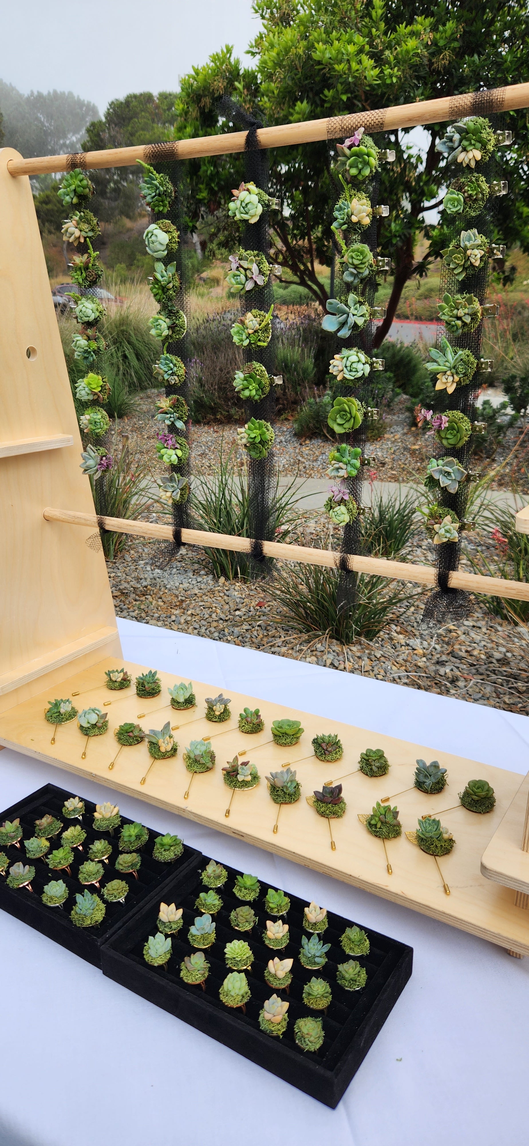 Sample Display of Succulent Hair Clips, Stick Pins, Rings