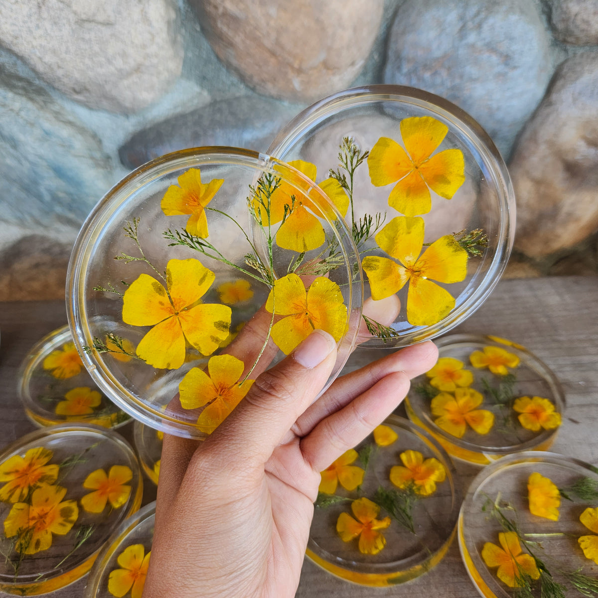 California Poppy Coaster - Set of 2