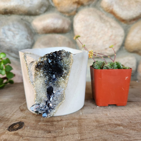 (#1147) Rutilated Quartz Crystal Geode - Sm Pot/Straight