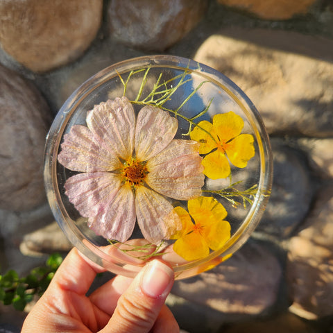 California Poppy & Cosmos Coaster - Set of 2