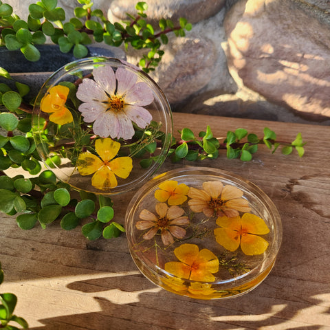 California Poppy & Cosmos Coaster - Set of 2