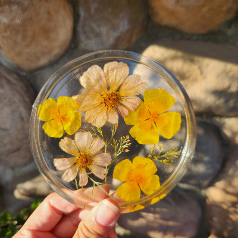 California Poppy & Cosmos Coaster - Set of 2