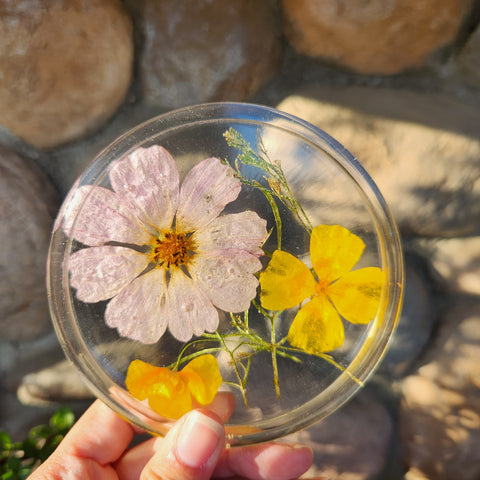 California Poppy & Cosmos Coaster - Set of 2