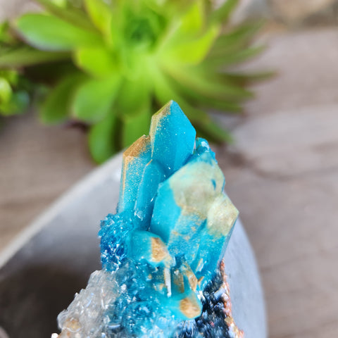 (#313) Turquoise & Gold Crystal Geode - Sm Shallow Bowl