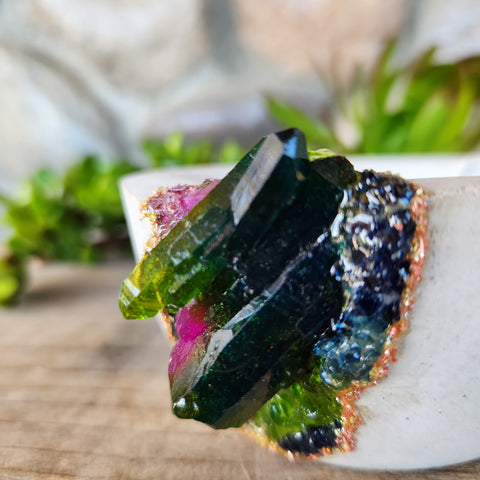 (#307) Tourmaline Crystal Geode - Sm Pot/Curve