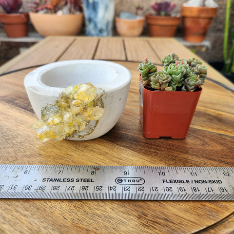 Yellow Floral Crystal Geode - Sm Pot/Curve